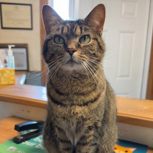 Portrait of Daphne